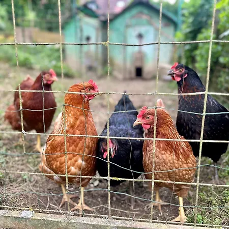 Petritz Velden am Wörthersee