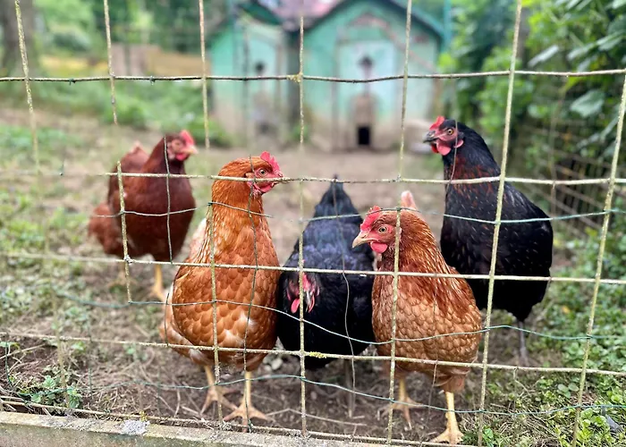 Petritz Velden am Wörthersee